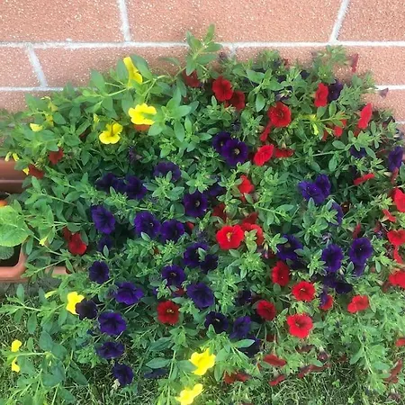 Villa Ca D' Bataia Vicino Carnevale Ivrea